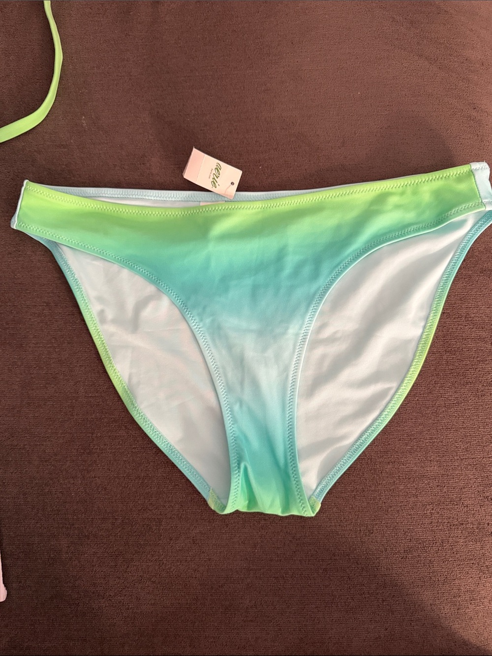 aerie Lime-to-Aqua Ombre Bikini Bottoms - Lime & Aqua